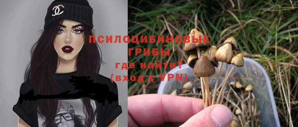 ГАЛЛЮЦИНОГЕННЫЕ ГРИБЫ Бугульма