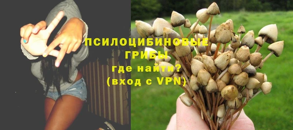 ГАЛЛЮЦИНОГЕННЫЕ ГРИБЫ Бугульма