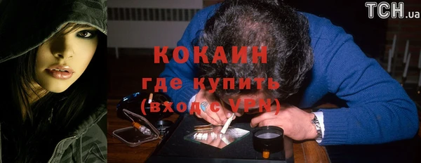 гидра Бронницы