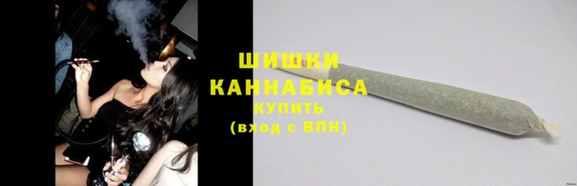 гидра Бронницы