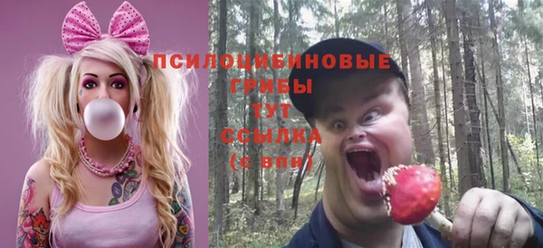 гидра Бронницы